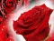 Joc Red Roses on-line