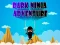 Joc Dark Ninja Adventure on-line