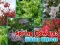 Joc Spring Flowers: Hidden Objects on-line