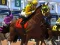 Joc Horse Racing on-line
