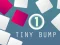 Joc Tiny Bump on-line
