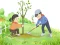 Joc Arbor Day Puzzle on-line