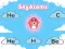 Joc SkyAtoms on-line