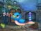 Joc Singing Bird Escape on-line
