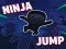 Joc Ninja jump on-line