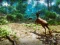 Joc  Hunter 3D on-line