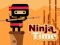 Joc Ninja Time on-line