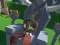 Joc Lazy Orcs: Arena on-line