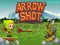 Joc Arrow Shoot on-line