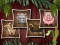 Joc Animal Shapes 3 on-line