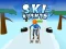 Joc Ski Rush 3d on-line