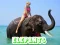 Joc Elephants Puzzle on-line