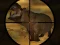 Joc Classical Hippo Hunting on-line