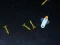 Joc 5 Minutes in Space on-line
