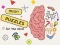 Joc Brain Puzzles Quests on-line
