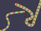 Joc Slither Classic on-line