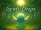 Joc Spirit Drops on-line