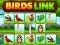 Joc Birds Link on-line