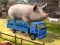Joc Driver Master Simulator on-line