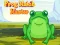 Joc Frog Match Master on-line