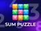 Joc Sum Puzzle: Arithmetic on-line