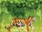 Joc Angry Tiger Coloring on-line