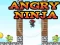 Joc Angry Ninja on-line