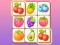 Joc Zoo Tile on-line