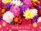 Joc 2019 Mother's Day Puzzle on-line