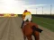 Joc Horse Rider on-line