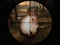 Joc Classical Rabbit Sniper Hunting 2019 on-line