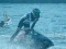 Joc Power Boat Racing 3D on-line