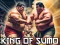 Joc King Of Sumo the ultimate brawl on-line