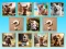 Joc Doggie Duo Discoveries on-line