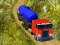 Joc Indian Cargo Truck Simulator on-line