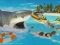Joc La Shark on-line