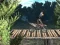 Joc Bike Trial Xtreme Forest on-line