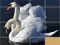 Joc Animals Slide Puzzle on-line