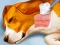 Joc Dog Hospital on-line