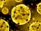 Joc Coronavirus Slide on-line