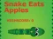 Joc Snake Eats Apples on-line