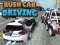 Joc Rush Car Driving on-line