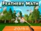 Joc Feathery Math on-line