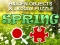Joc Hidjigs Spring on-line