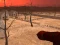 Joc Wasteland Shooters on-line
