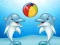 Joc Dolphin Show on-line