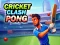 Joc Cricket Clash Pong on-line