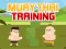 Joc Muay Thai Training on-line