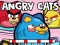 Joc Angry Cats on-line