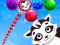 Joc Raccoon Rescue on-line